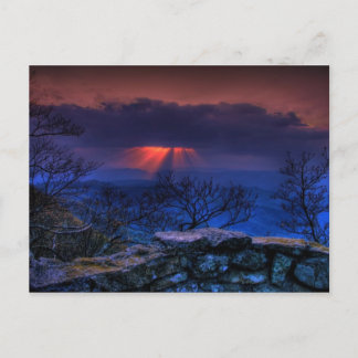 dunnedarmblauw briefkaart