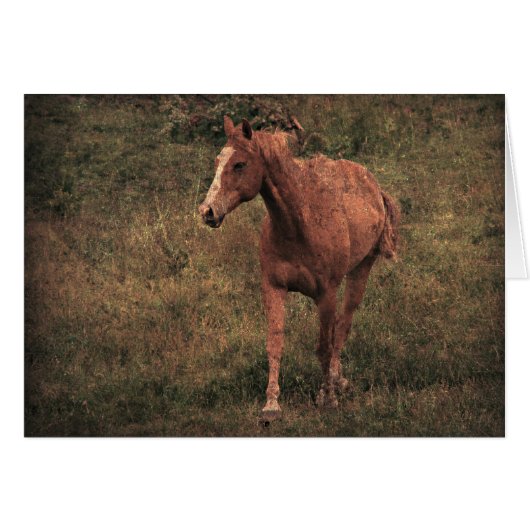 Dunnit (Voorkant Horizontaal)