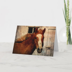 Dunnit, Birthday Kaart