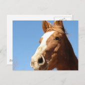 Dunnit Briefkaart (Voorkant / Achterkant)