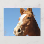 Dunnit Briefkaart (Voorkant)