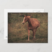 Dunnit Briefkaart (Voorkant / Achterkant)