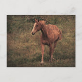 Dunnit Briefkaart (Voorkant)