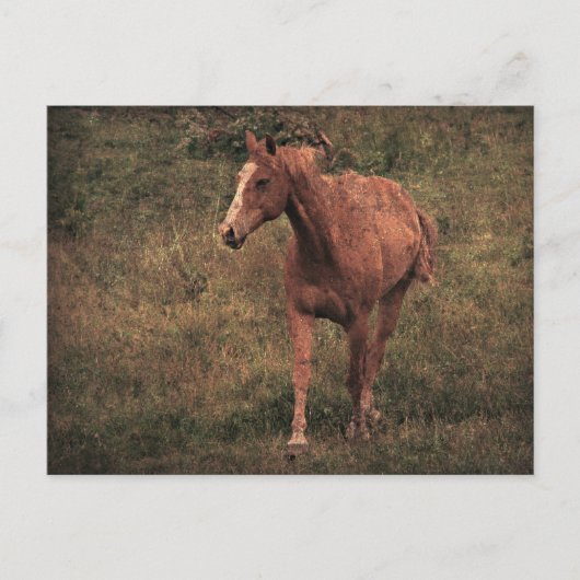 Dunnit Briefkaart (Voorkant)