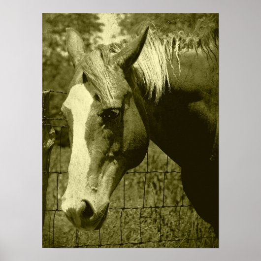 Dunnit in Sepia Tint Poster (Voorkant)