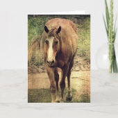 Dunnit Kaart (Voorkant)