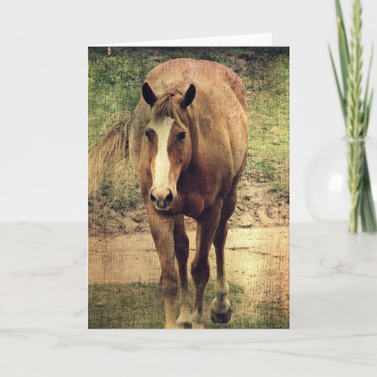 Dunnit Kaart (Voorkant)