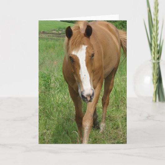 Dunnit Kaart (Voorkant)