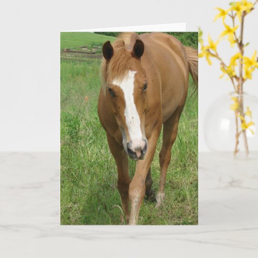 Dunnit Kaart (Gele Bloem)