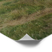 Dunnottar Castle Poster (Hoek)