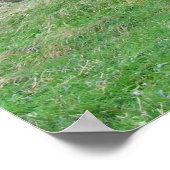 Dunollie Castle Oban Bay, Schotland Poster (Hoek)