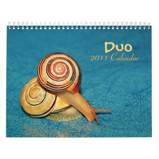 Duo 2011-kalender kalender (Hoes)