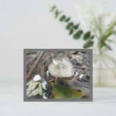 Duo Frill Mushroom Briefkaart (Staand voorkant)