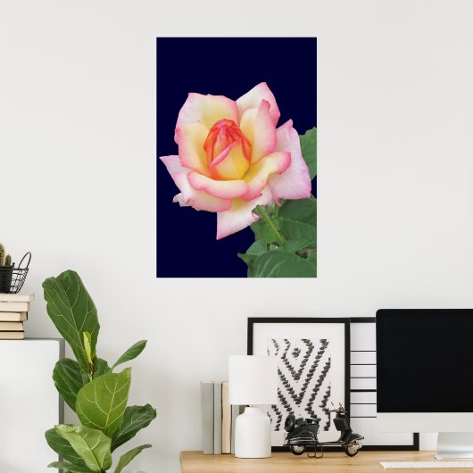 Duo-tone roze Rose Poster (Thuiskantoor)