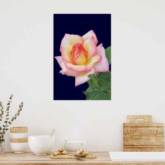Duo-tone roze Rose Poster (Keuken)