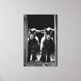 Duo van Monochromatische Baby Goats staan samen Canvas Afdruk