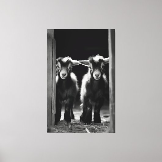 Duo van Monochromatische Baby Goats staan samen Canvas Afdruk (Voorkant)