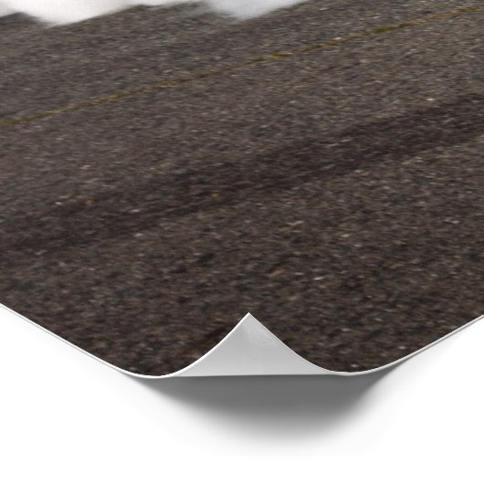 Dupindermach1 Poster (Hoek)