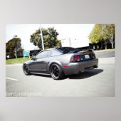 dupindermeling1 poster (Voorkant)