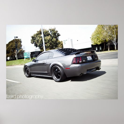 dupindermeling1 poster (Voorkant)