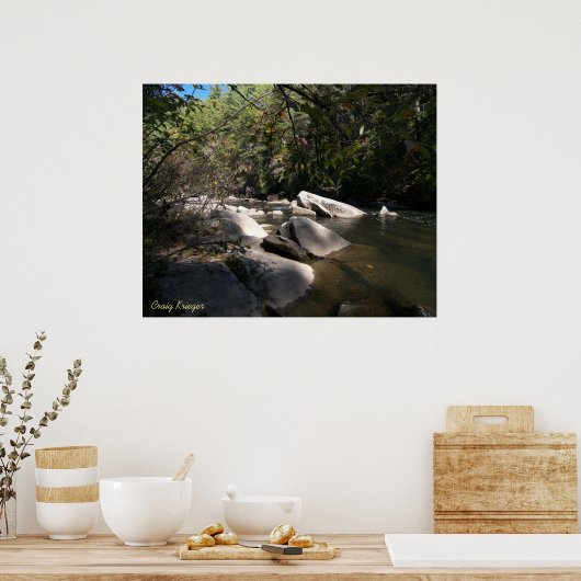Dupont River in NC Poster (Keuken)