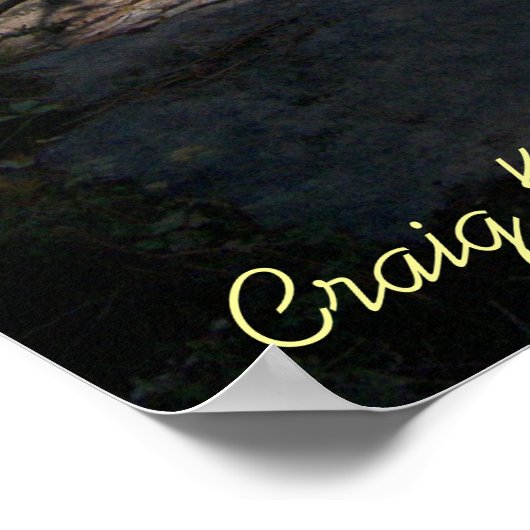 Dupont River in NC Poster (Hoek)