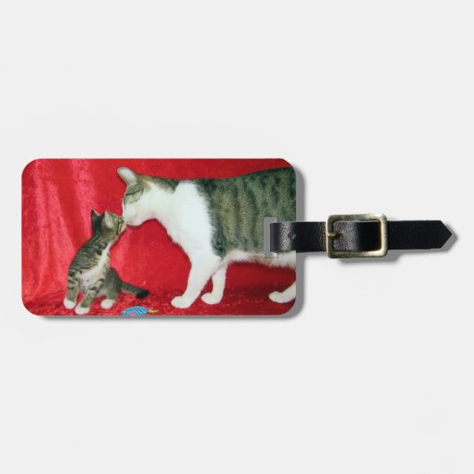 Dupree en Andy: Schattige Cat Bagagelabel (Voorkant horizontaal)