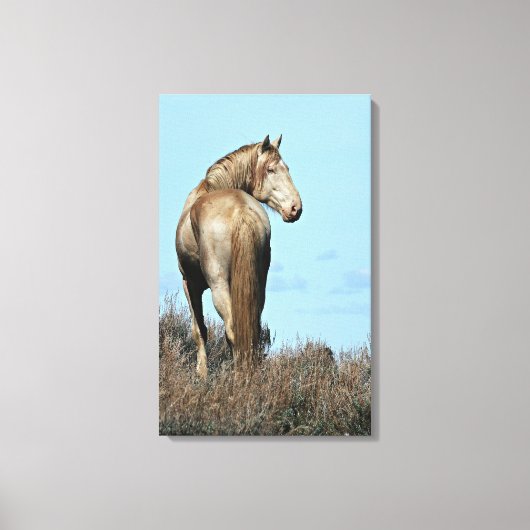 Durango Canvas Print (Voorkant)