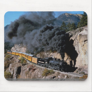 Durango en Silverton Railroad, nr. 481, Beer Cree Muismat