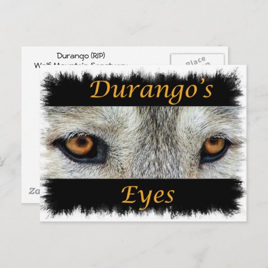 Durango Eye's (RIP) Briefkaart (Voorkant / Achterkant)