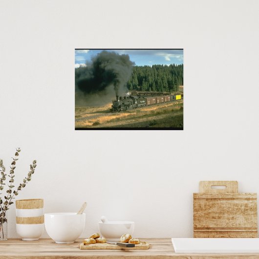 Durango & Silverton No. 480_Steam Trains Poster (Keuken)