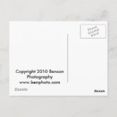 Durango & Silverton stoomtrein Briefkaart (Achterkant)