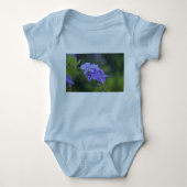 Duranta erecta romper (Voorkant)
