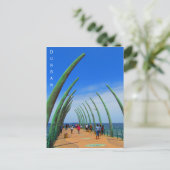 durban walvisbaard briefkaart (Staand voorkant)