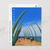 durban walvisbaard briefkaart (Voorkant / Achterkant)