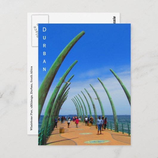 durban walvisbaard briefkaart (Voorkant / Achterkant)