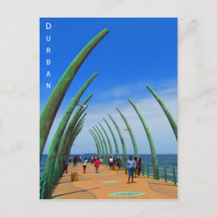 durban walvisbaard briefkaart