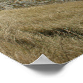 DurdDoor Poster (Hoek)