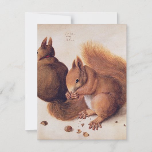 Durer - Eekhoorns 1512 Bedankkaart (Voorkant)