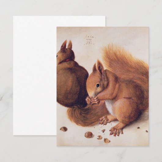Durer - Eekhoorns 1512 Bedankkaart (Voorkant / Achterkant)