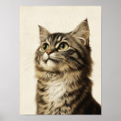 Dürer's Tabby Schatten 3 Poster (Voorkant)