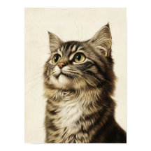Dürer's Tabby Schatten 3