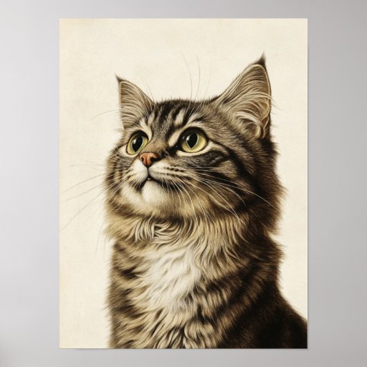 Dürer's Tabby Schatten 3 Poster (Voorkant)