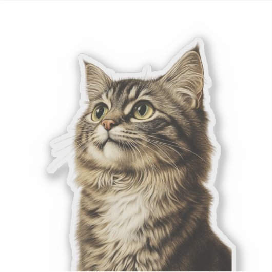 Dürer's Tabby Schatten 3 Sticker (Voorkant)