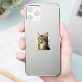 Dürer's Tabby Schatten 3 Sticker (Telefoon)