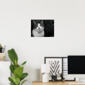 Durf in mijn groene ogen te kijken poster (Thuiskantoor)