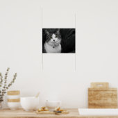 Durf in mijn groene ogen te kijken poster (Keuken)