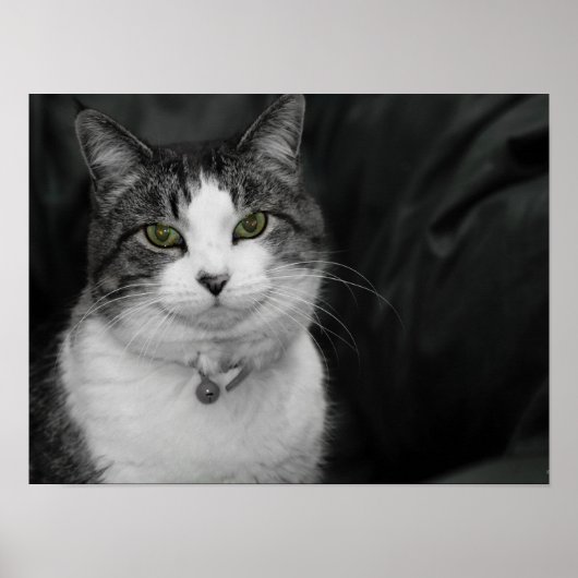 Durf in mijn groene ogen te kijken poster (Voorkant)