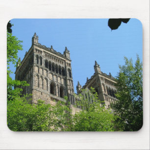 Durham Cathedral Muismat