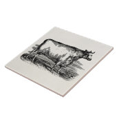  Durham Cow Bull Persoonlijke illustratie Tegeltje (Zijkant)